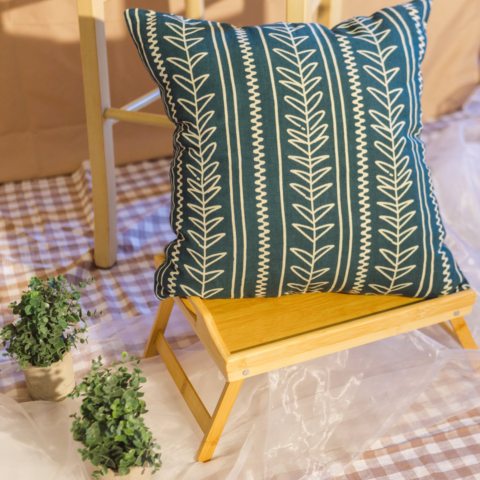 Echo Throw Pillow Cover